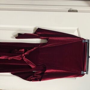 Elegant Burgundy Velvet Dress